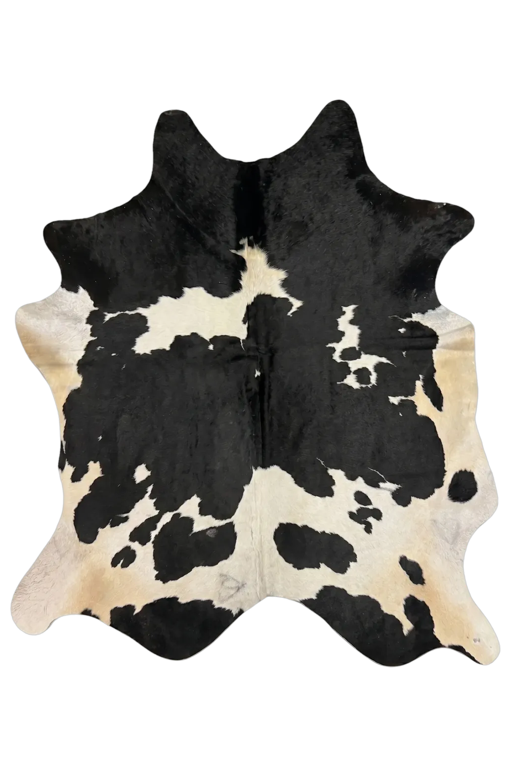 Audrey Black and White Cowhide Rug 7'9" L X 6' W
